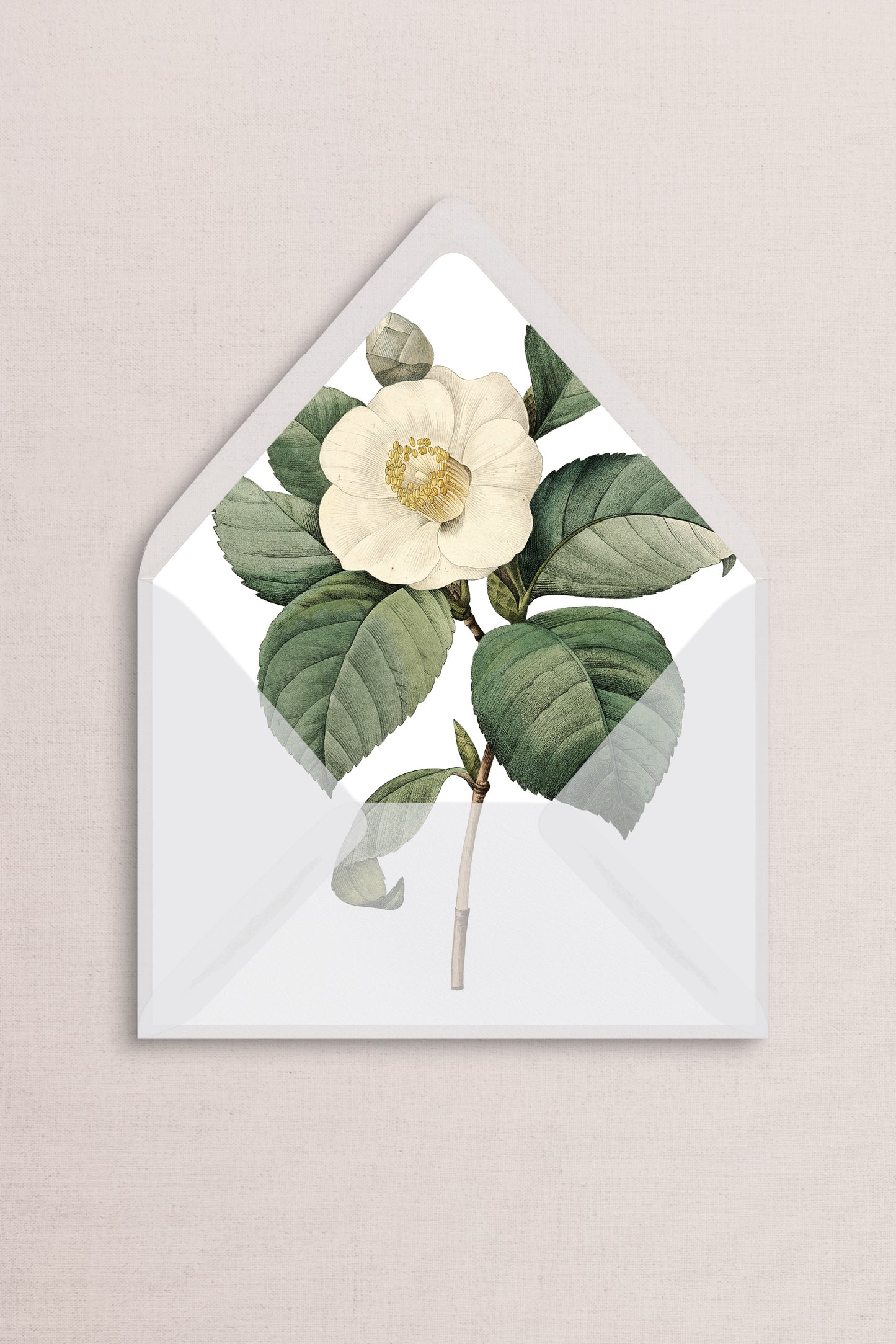 Envelope Liners