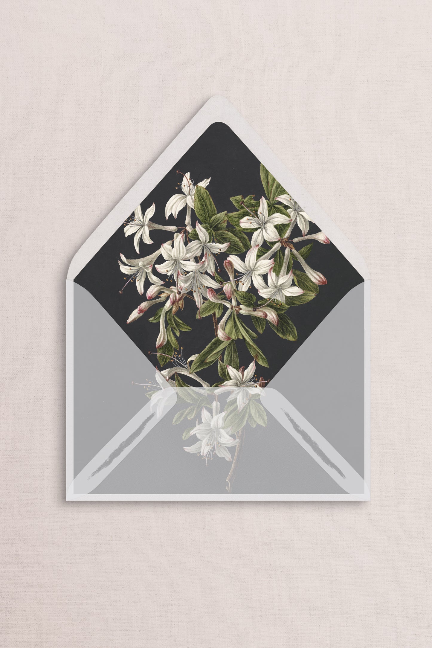 Envelope Liners