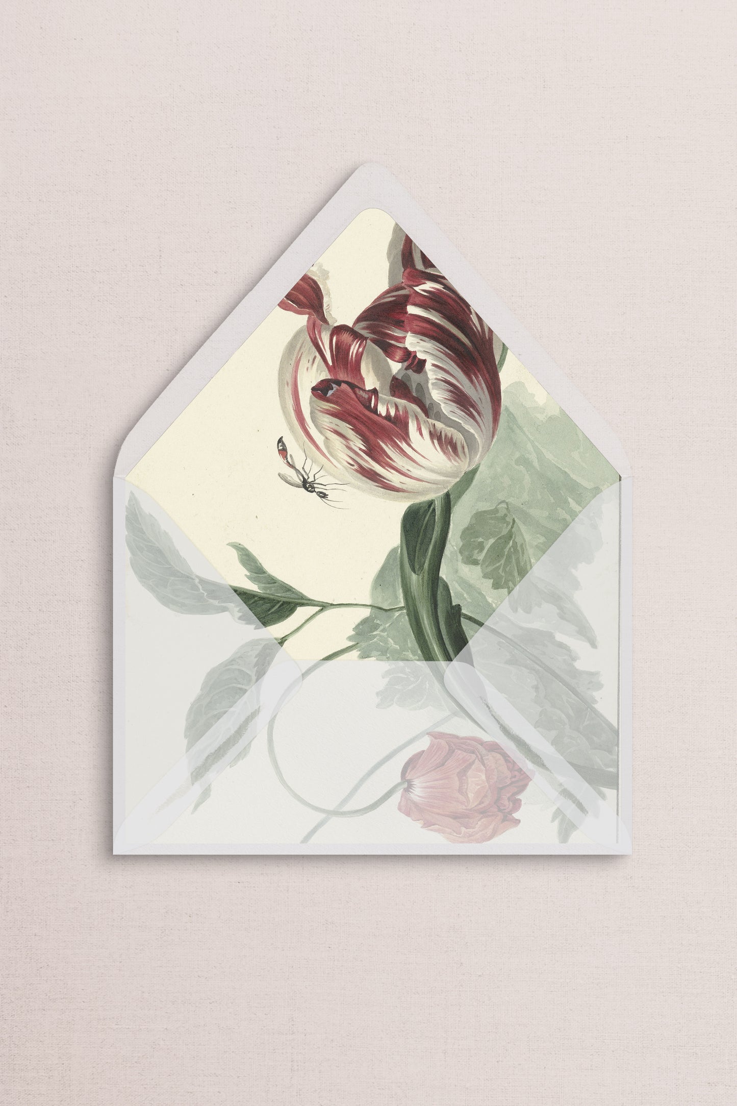 Envelope Liners