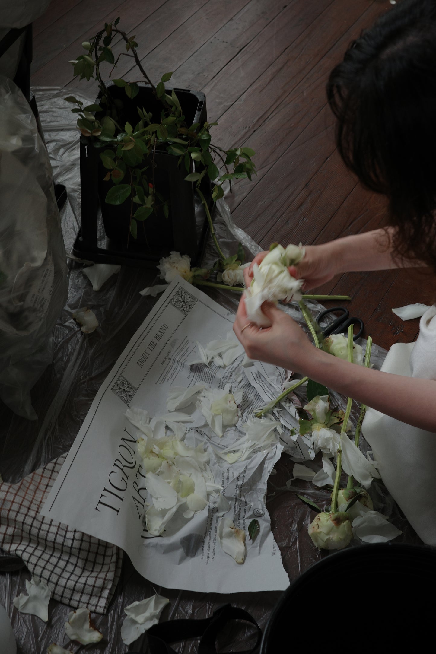 THE TIGRON ATELIER JOURNAL