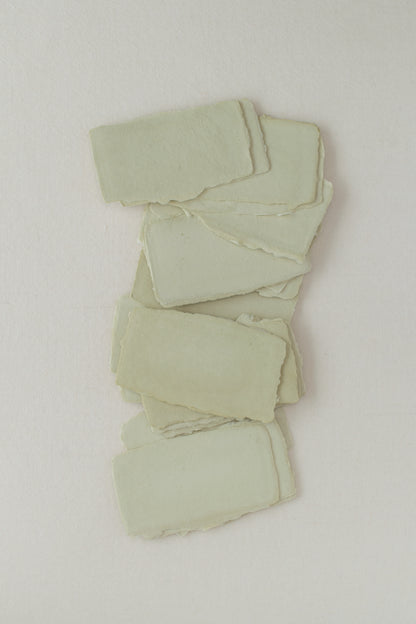 Handmade Paper / 2×4 Sheets / Herb [Limited]