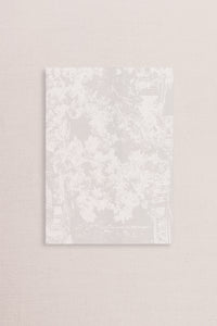 Vellum Wraps [White Print]