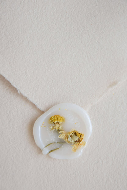 Wax Seals - Dride flower / Chamomile - Set of 10