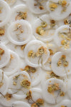 Wax Seals - Dride flower / Chamomile - Set of 10